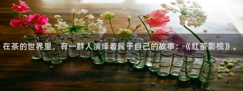 桃花巷电影全集