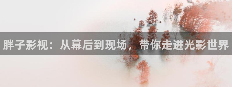 桃花巷电影全集