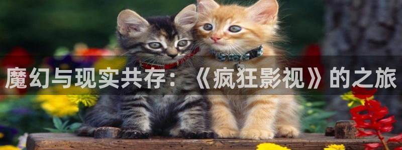 桃花影视免费观看完整版：魔幻与现实共存：《疯狂影视》的之旅