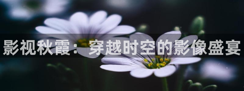 桃花影院在线高清免费观看播放：影视秋霞：穿越时空的影像盛宴